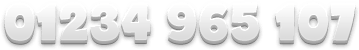 01234 965 107